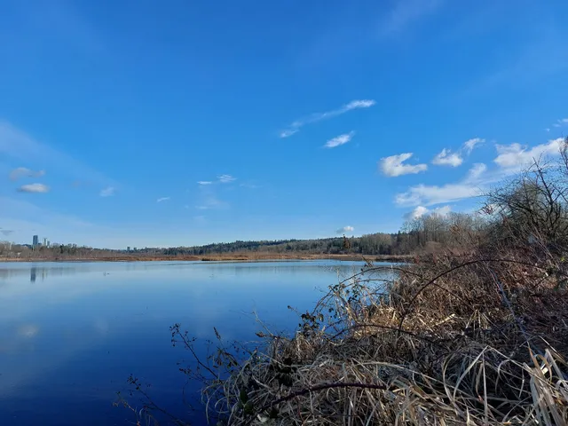 Burnaby Lake Regional Park - Glencarin Trail Entrance