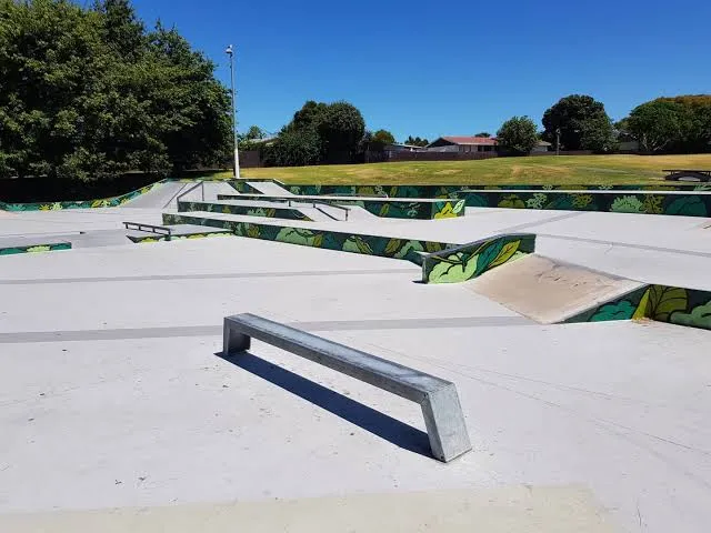 Clendon Skatepark