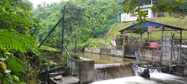 JUNGLE LODGE ALANG SEDAYU