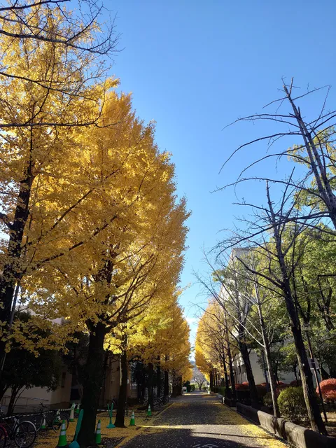 Takasaki City University of Economics