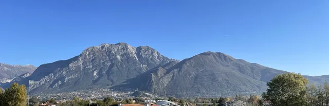 Antica Distilleria Driussi s.n.c.