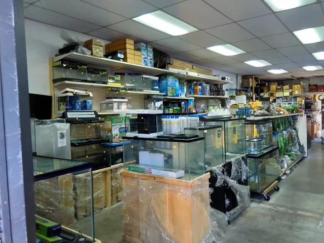 Hong Kong Tropical Fish