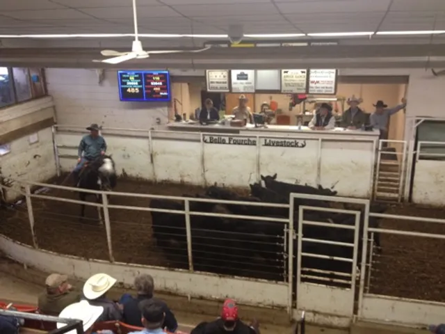 Belle Fourche Livestock Market, LLC