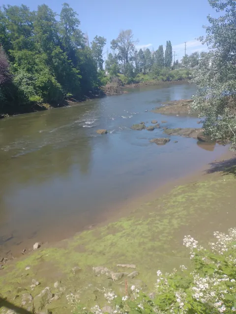 Duwamish River