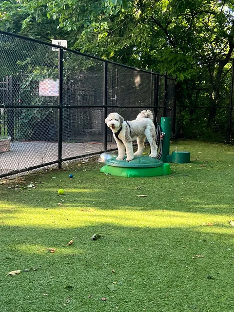 Ogden's End Dog Park