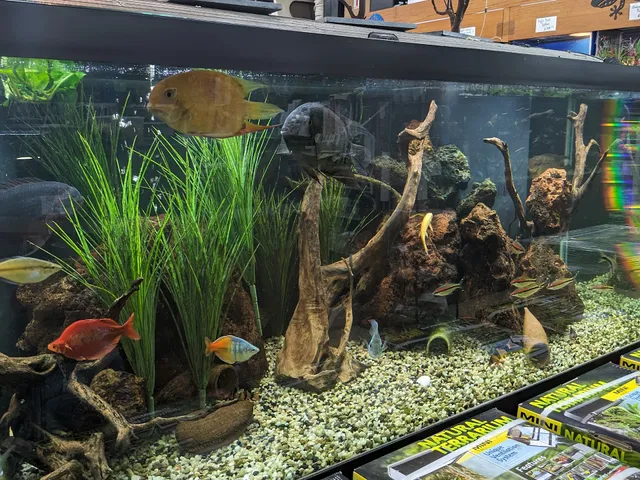 General Grant Center