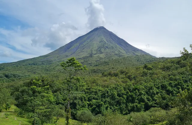 Wildlife Tours Costa Rica