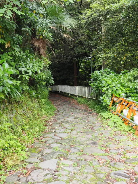 Cobbled Road at Sarusawa