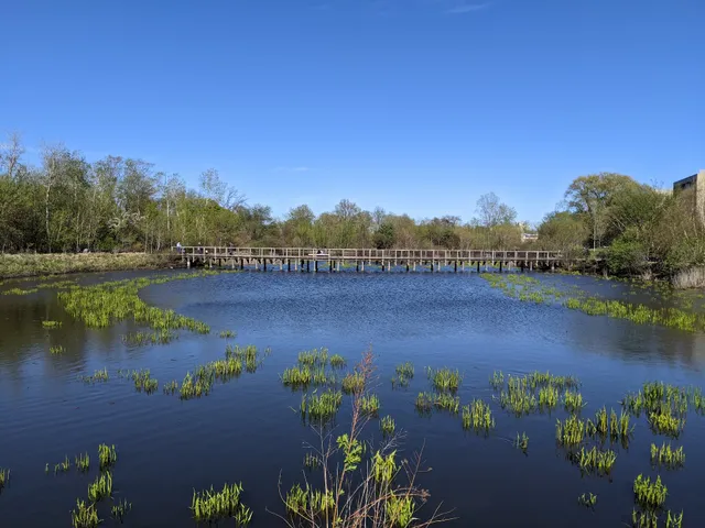 Alewife Brook Pathway