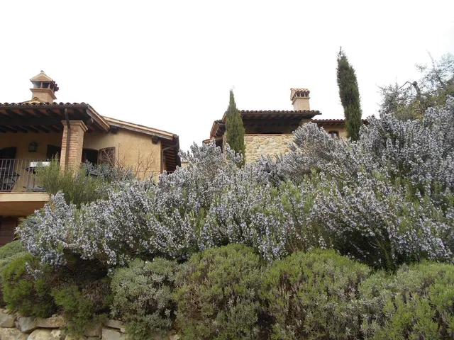 Agriturismo Belvedere Delle Crete