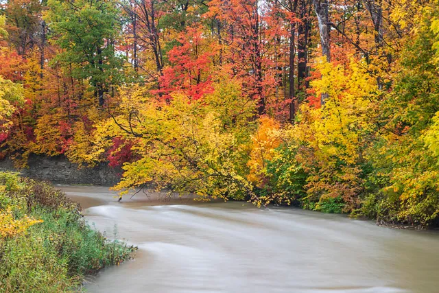 Etobicoke Creek Trail at Sismet Rd