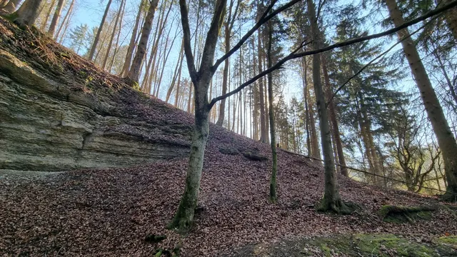 Extratour "Der Meininger" - Premiumwanderweg