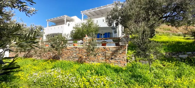 Aspra Chomata Villas