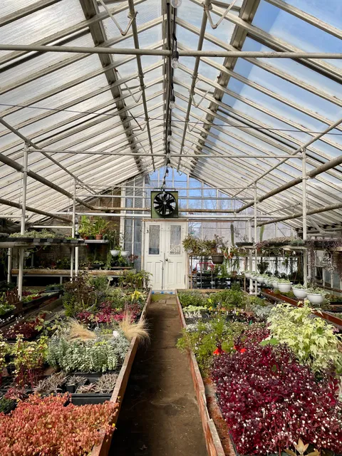 Graye's Greenhouse