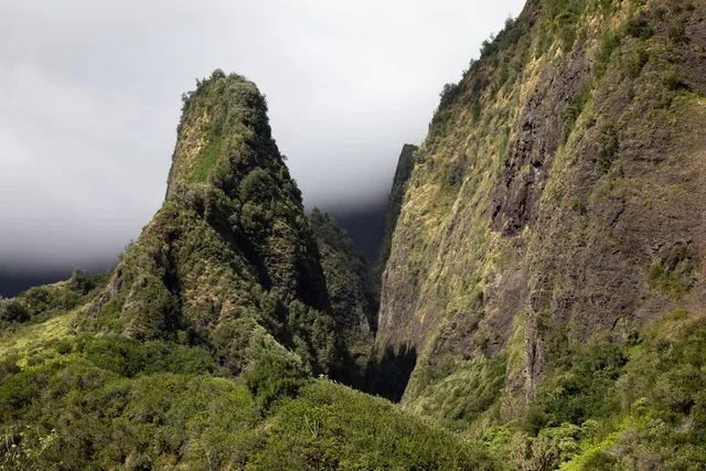 ʻIao Needle Lookout Trail and Ethnobotanical Loop