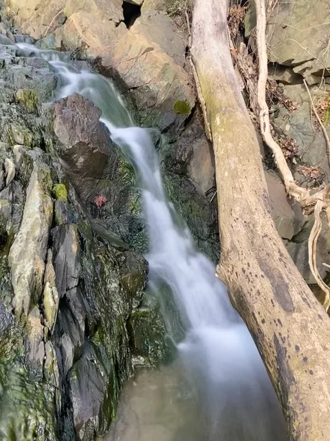 Billy Goat Trail Section C