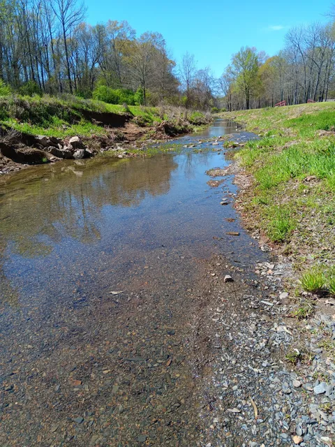 Tucker Creek Trail: Salem Road Trailhead