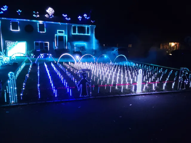 Bates Street Light Show