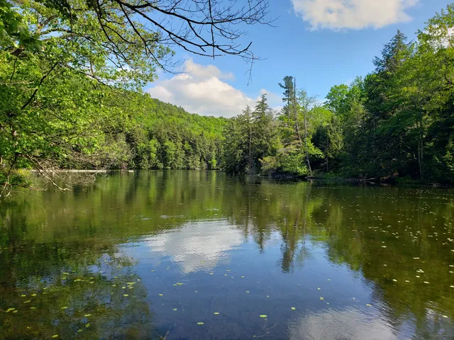 Friends of Camp Little Notch