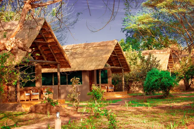 Thornicroft Lodge - South Luangwa