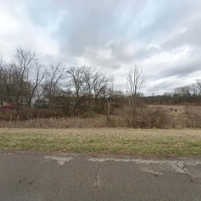 Wild Thingz Art Studio