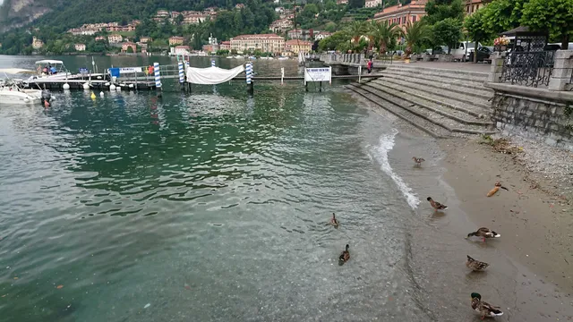 Lungolago di Menaggio