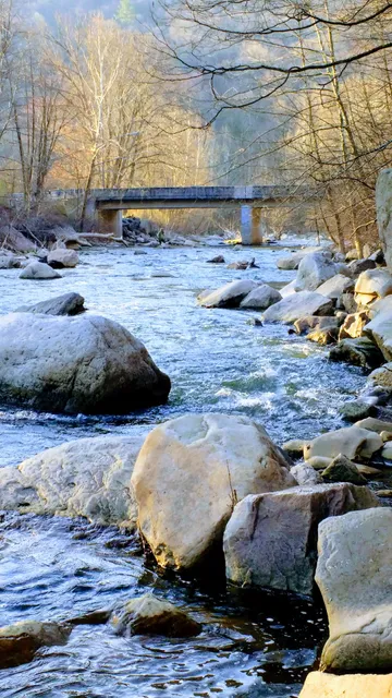 Londonderry Township