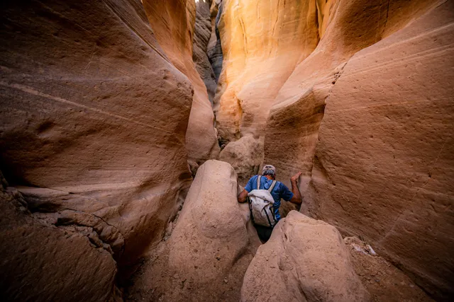 Dreamland Safari Tours