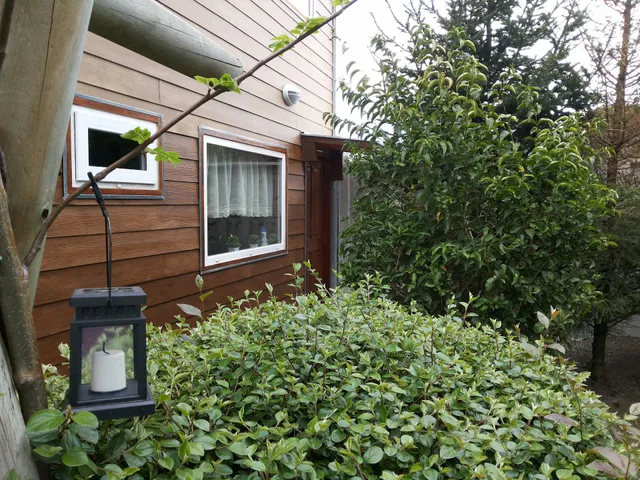 SERVICIOS INTEGRALES AYAK EIRL.