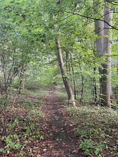 Cunningham Park Southeast Preserve Trail - Trailhead