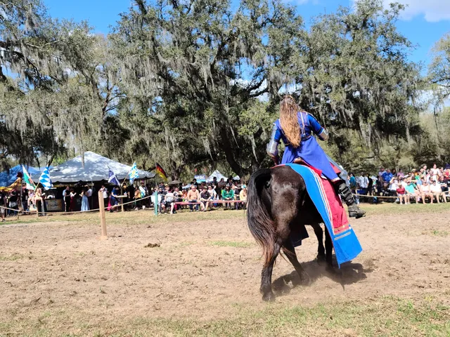 Bay Area Renaissance Festival