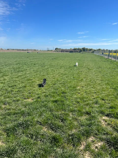 Hedon Secure Dog Walking Field