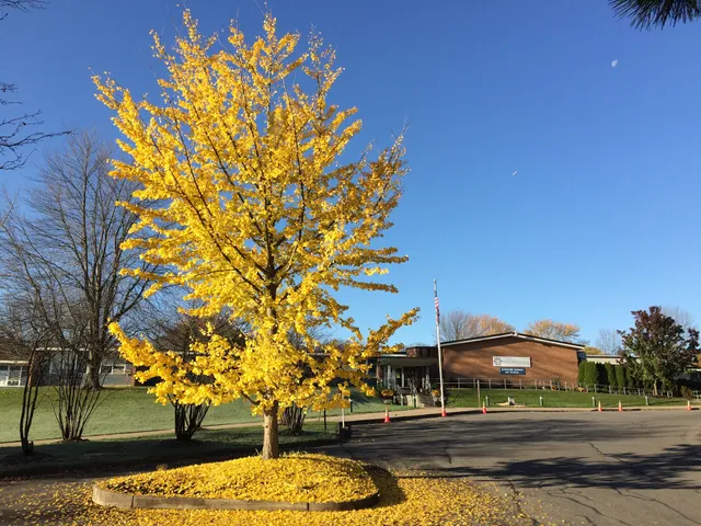 Jewish Community Center of Syracuse
