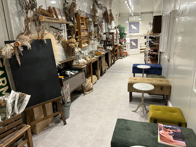 ドギーズヴィレッジ