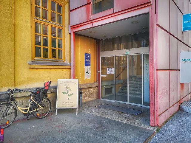 Marjetica (menza Tobačna)