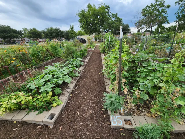 Westbury Community Garden