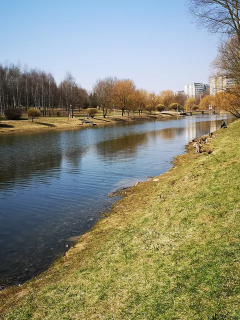 Парк Михаила Павлова