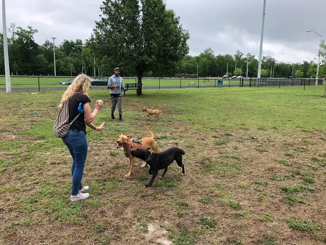 City of Hartsville Dog Park