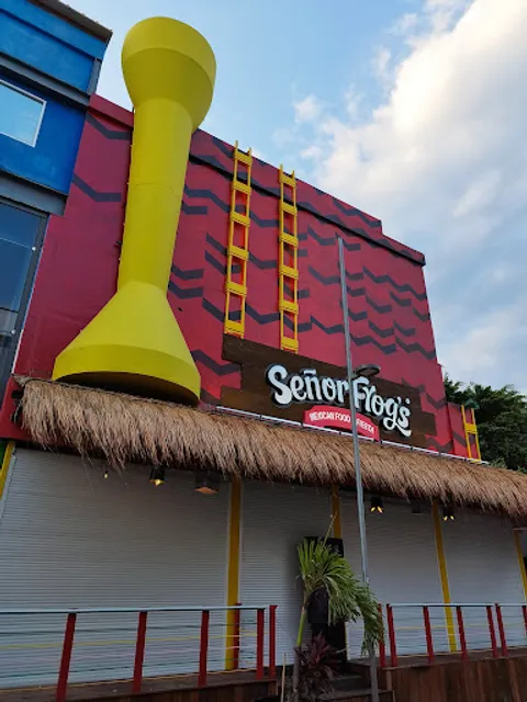 Señor Frog's Playa del Carmen 5ta y 8va