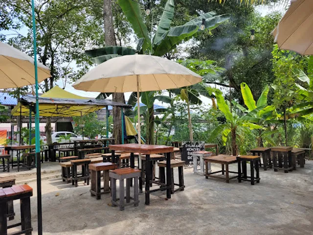 Kopi Pokok