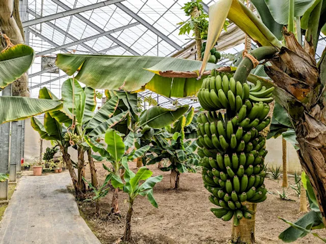 Tourist Farm Agri Village Oirase