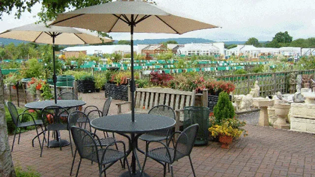 Willowbrook Cafe and Tea Room