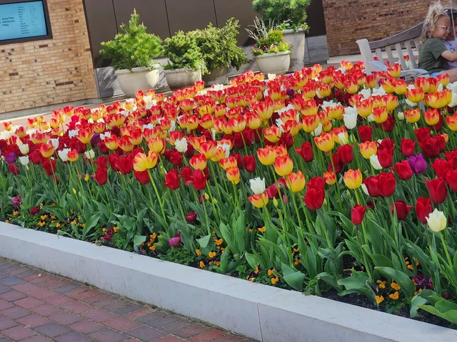 Chicago Botanic Garden Lightscape