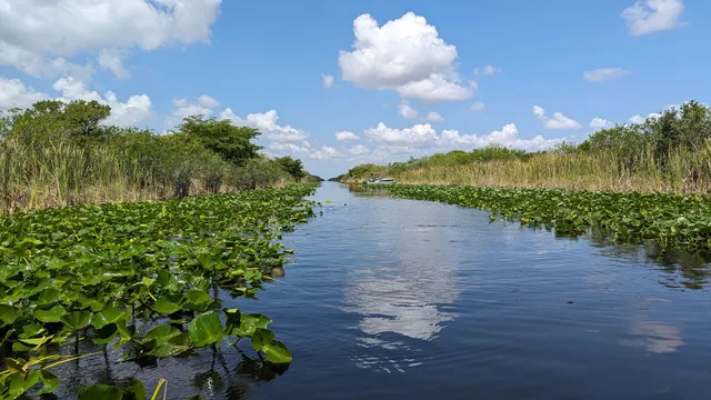 Everglades National Park