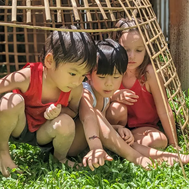 Little Treehouse Nursery