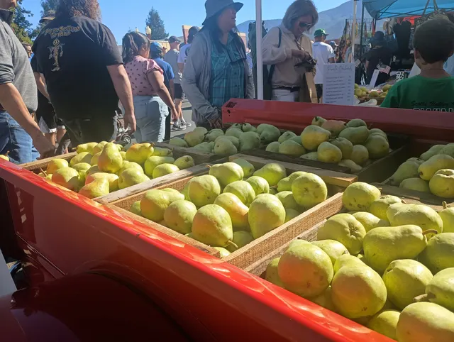 Kelseyville Pear Festival