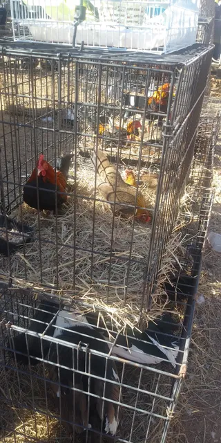 Tamra's Treasures! Wholesales and Donations