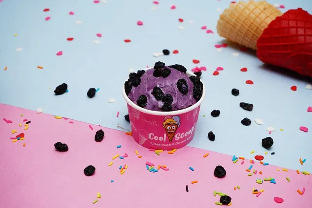 Cool Scoop - Punjabi Bagh