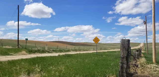 Nebraska Historical Marker: California Hill