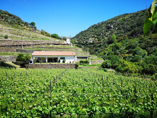 Casa do Riacho - Douro Valley
